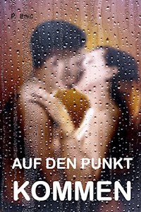 Auf den Punkt kommen - P. Enis - E-Book