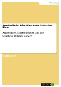 Argentinien. Staatsbankrott und die Situation 10 Jahre danach - Sven Buchholz - E-Book