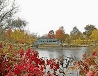 Универсальный душа - Fabio Mc Steel - E-Book