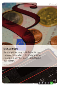 Steueroptimierung mittelständischer Unternehmen durch Gründung einer Holding in der EG nach Inkrafttreten des SEStEG - Michael Buchs - E-Book
