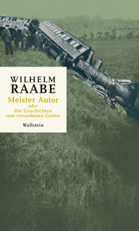 Meister Autor - Wilhelm Raabe - E-Book