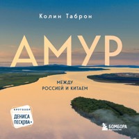 Амур. Между Россией и Китаем - Колин Таброн - Hörbuch