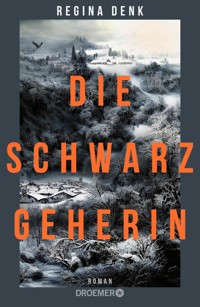 Die Schwarzgeherin - Regina Denk - E-Book