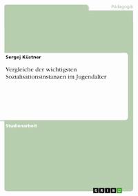 Vergleiche der wichtigsten Sozialisationsinstanzen im Jugendalter - Sergej Küstner - E-Book