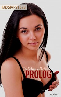 PROLOG - Leo Johns - E-Book