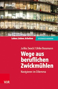 Wege aus beruflichen Zwickmühlen - Julika Zwack - E-Book