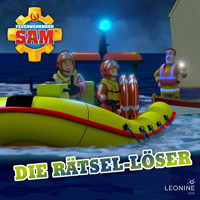 Folge 138: Die Rätsel-Löser - Stefan Eckel - Hörbuch