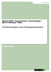 Verhaltensanalyse eines Kindergartenkindes - Türkan Sahin - E-Book