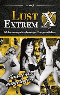Lust Extrem 3: Gnadenlos ausgeliefert - Ina Stein - E-Book