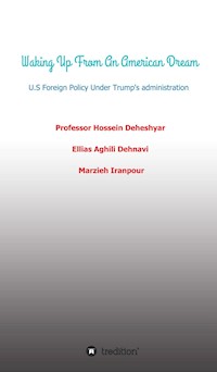 Waking Up From An American Dream - Ellias Aghili Dehnavi - E-Book