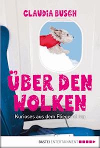 Über den Wolken - Claudia Busch - E-Book