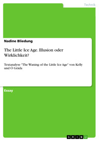 The Little Ice Age. Illusion oder Wirklichkeit? - Nadine Bliedung - E-Book