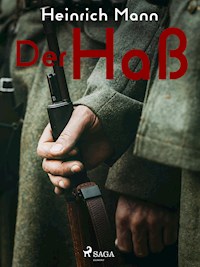 Der Haß - Heinrich Mann - E-Book
