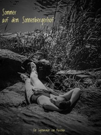 Sommer auf dem Sonnenbergerhof - Thorsten Dürholt - E-Book