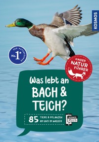 Was lebt an Bach und Teich? Kindernaturführer - Anita van Saan - E-Book
