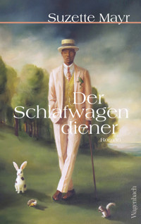 Der Schlafwagendiener - Suzette Mayr - E-Book