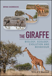 The Giraffe - Bryan Shorrocks - E-Book