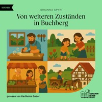 Von weiteren Zuständen in Buchberg - Johanna  Spyri - Hörbuch