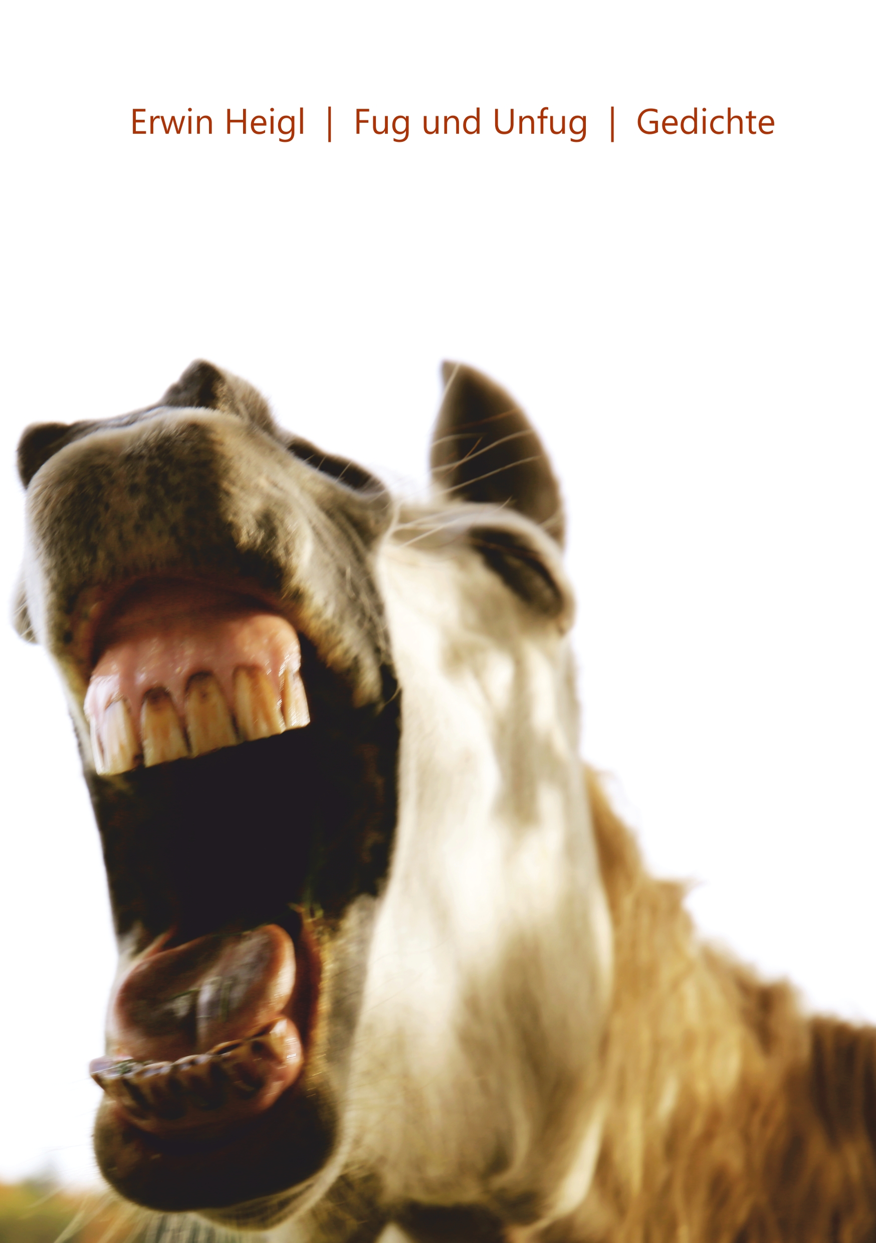 Fug und Unfug - Erwin Heigl - E-Book