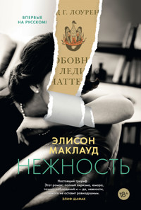 Нежность - Элисон Маклауд - E-Book