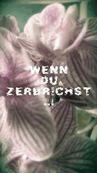 Wenn du zerbrichst - Franziska Wild - E-Book