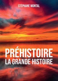 Préhistoire, la grande Histoire - Stéphane Montal - E-Book