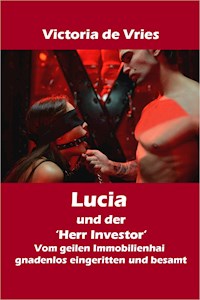 Lucia und der 'Herr Investor' - Victoria de Vries - E-Book