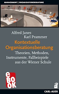 Kontextuelle Organisationsberatung - Alfred Janes - E-Book