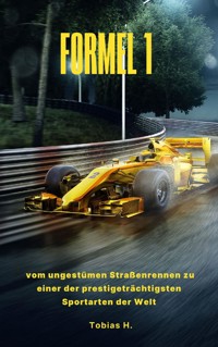 Formel 1 - Tobias Hopfmüller - E-Book