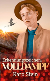 Erkennungszeichen: Volldampf - Karo Stein - E-Book