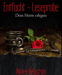 Entfacht - Leseprobe - Aimee Delacroix - kostenlos E-Book