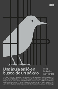 Una jaula salió en busca de un pájaro - Ali Smith - E-Book