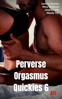 Perverse Orgasmus Quickies 6 - Lariana Bouche - E-Book