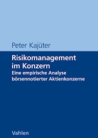 Risikomanagement im Konzern - Peter Kajüter - E-Book