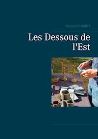 Les Dessous de l'Est - Pascal Schmitt - E-Book