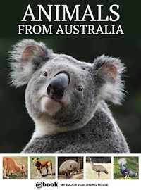 Animals from Australia - My Ebook Publishing House - E-Book