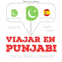 Viajar en punjabi - JM Gardner - Hörbuch