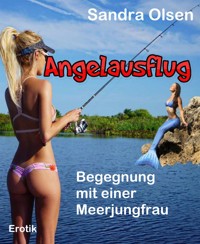 Angelausflug - Sandra Olsen - E-Book