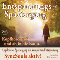 Entspannungsspaziergang: Angeleiteter Spaziergang zur kompletten Entspannung - SyncSouls aktiv - Kopfhörer auf und ab in die Natur (Ungekürzt) - Torsten Abrolat - Hörbuch
