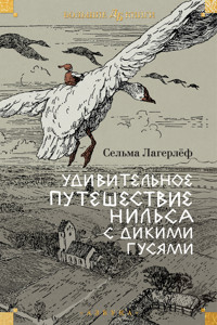 Удивительное путешествие Нильса с дикими гусями - Сельма Лагерлёф - E-Book
