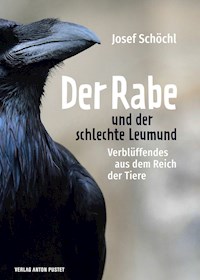 Der Rabe und der schlechte Leumund - Josef Schöchl - E-Book