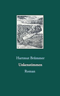 Unkenstimmen - Hartmut Brümmer - E-Book