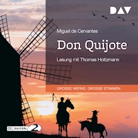 Don Quijote - Miguel de Cervantes - Hörbuch