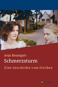 Schmerzsturm - Anja Baumgart - E-Book