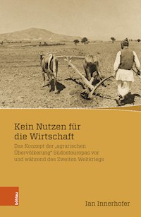 Kein Nutzen für die Wirtschaft - Ian Innerhofer - E-Book