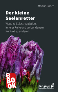 Der kleine Seelenretter - Monika Röder - E-Book