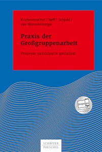 Praxis der Großgruppenarbeit - Paul Krummenacher - E-Book