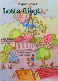 Lotta fliegt - Brigitte Schmid - E-Book