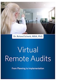 Remote Audit - Roland Scherb - E-Book