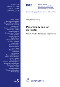 Panorama IV en droit du travail - - E-Book